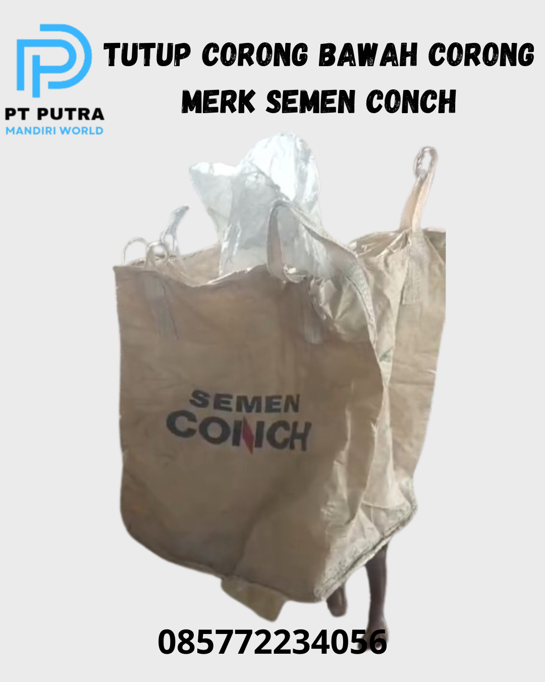 merk semen conch